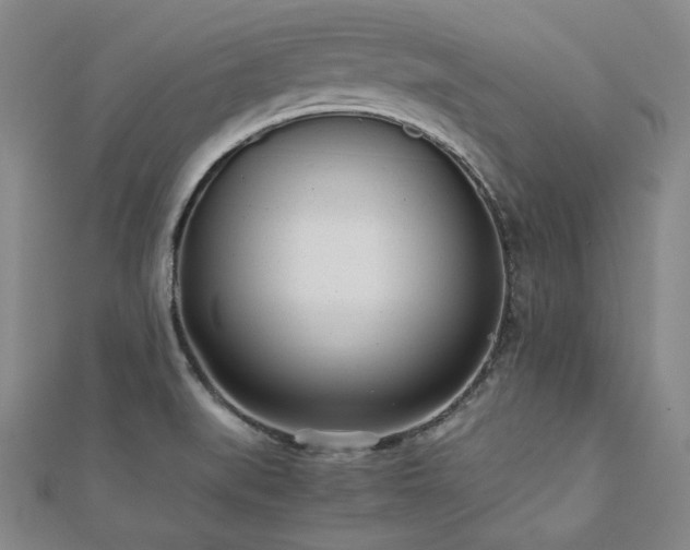 X0000112491519200908171236