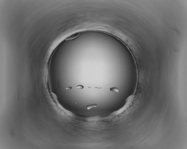 X0000112491520200908171236