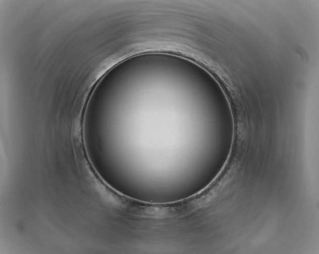 X0000112491521200908171236