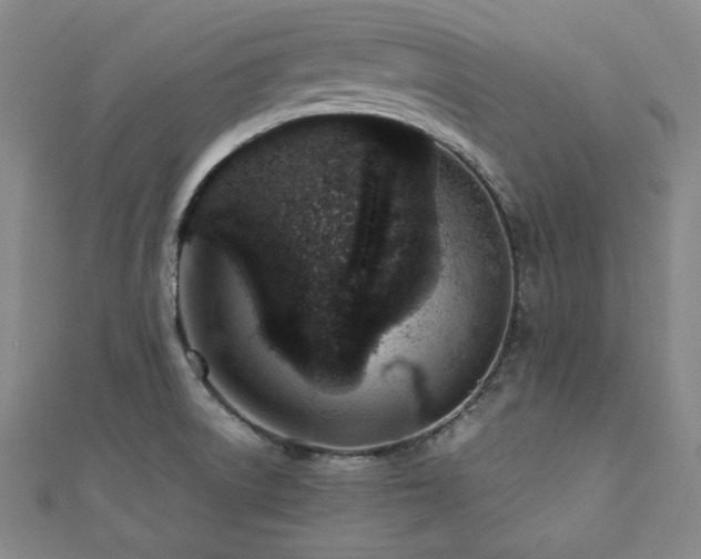 X0000112491522200908171236
