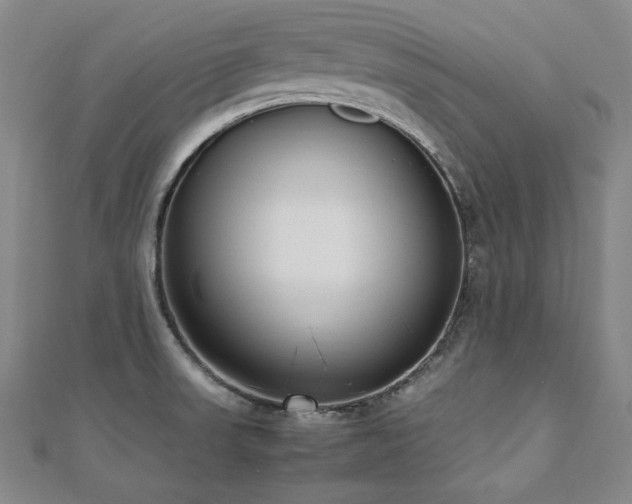 X0000112491523200908171236