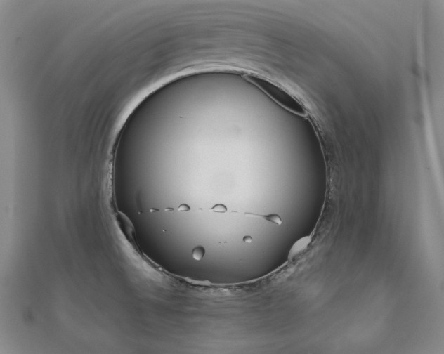 X0000112491524200908171236