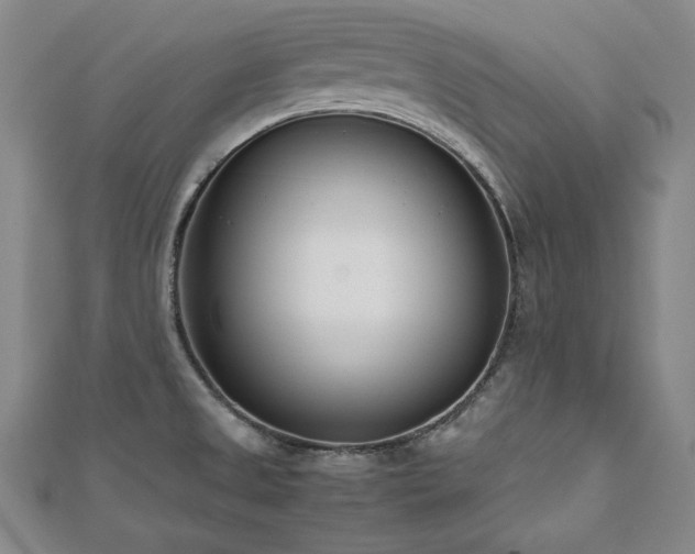 X0000112491525200908171236