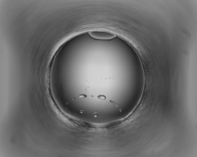 X0000112491526200908171236