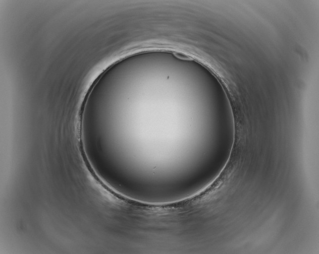 X0000112491527200908171236