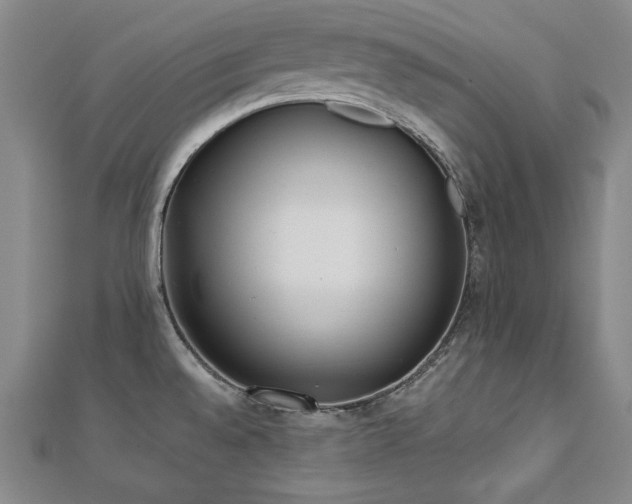 X0000112491528200908171236