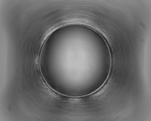 X0000112491529200908171236