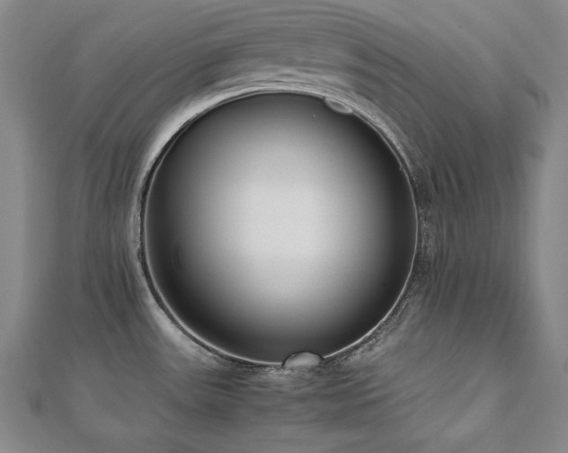 X0000112491531200908171236