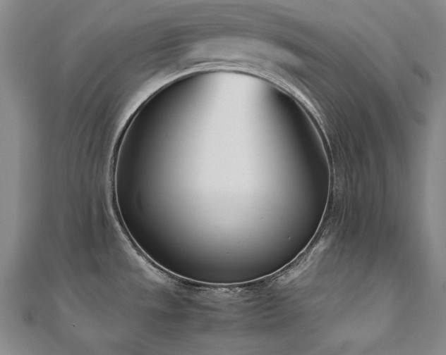 X0000112491533200908171236