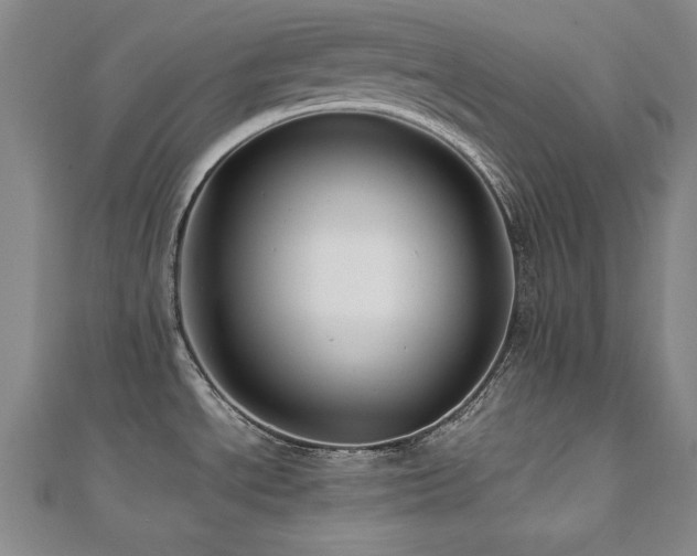 X0000112491534200908171236