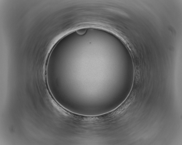 X0000112491535200908171236