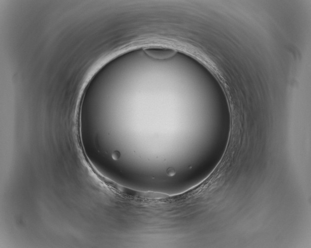 X0000112491536200908171236