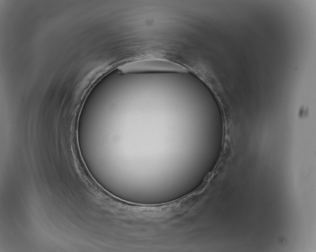 X0000112490001200908241337