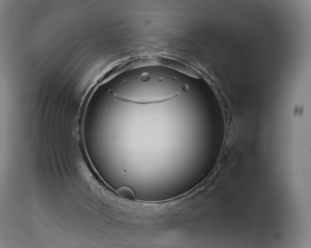 X0000112490002200908241337