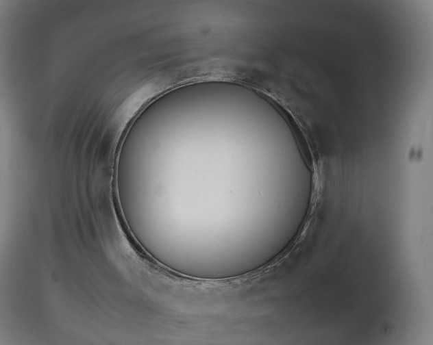 X0000112490003200908241337