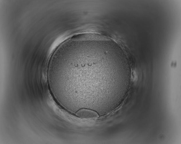 X0000112490004200908241337