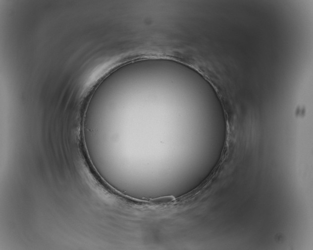 X0000112490005200908241337