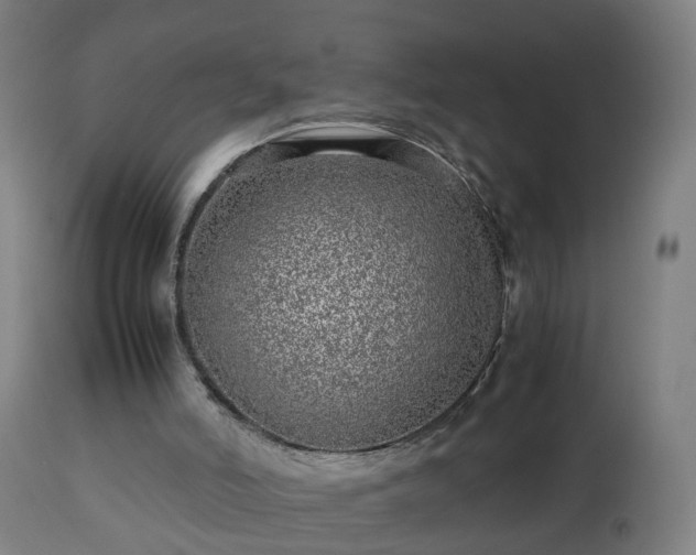 X0000112490006200908241337