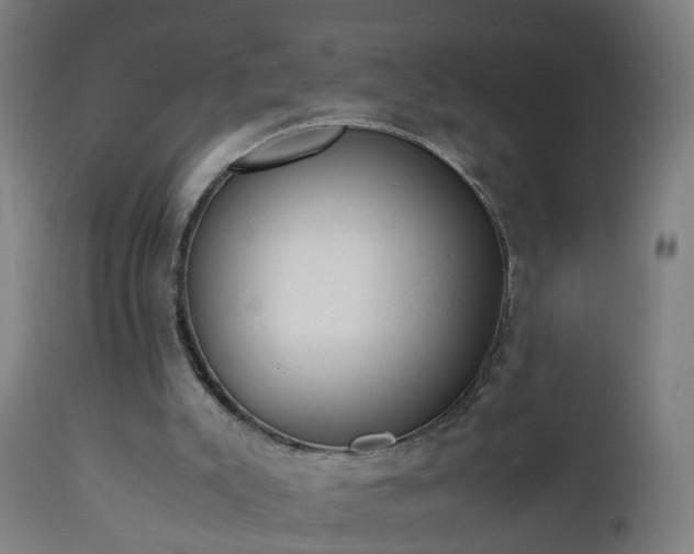 X0000112490007200908241337