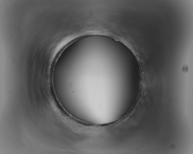 X0000112490008200908241336