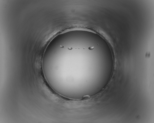 X0000112490009200908241336