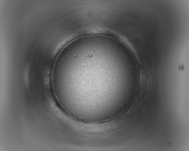 X0000112490010200908241336