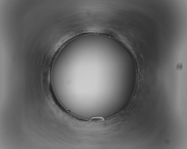 X0000112490011200908241336