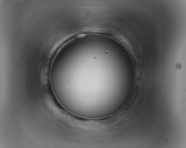 X0000112490012200908241336