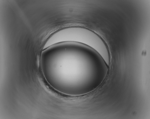 X0000112490013200908241336