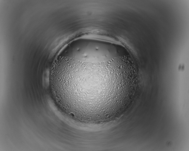 X0000112490014200908241336