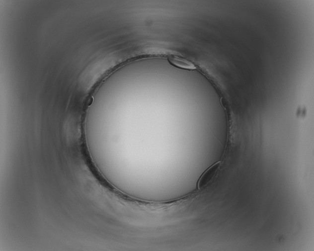 X0000112490015200908241336