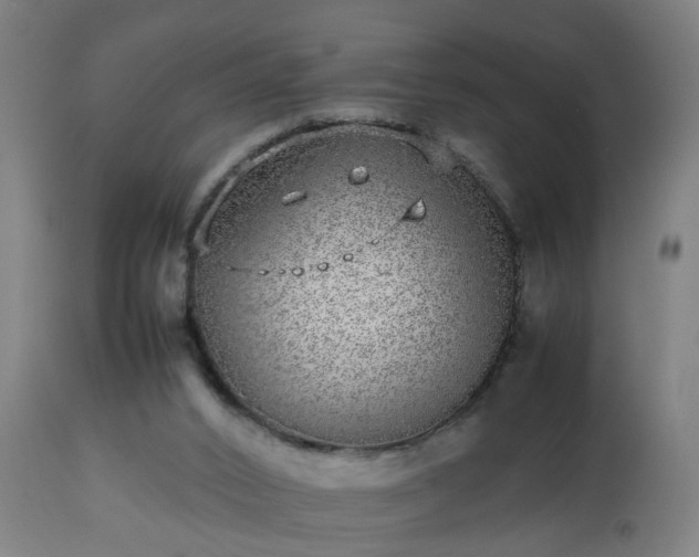 X0000112490016200908241336