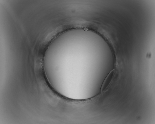 X0000112490017200908241336