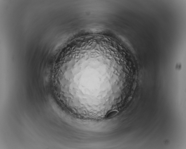 X0000112490018200908241336