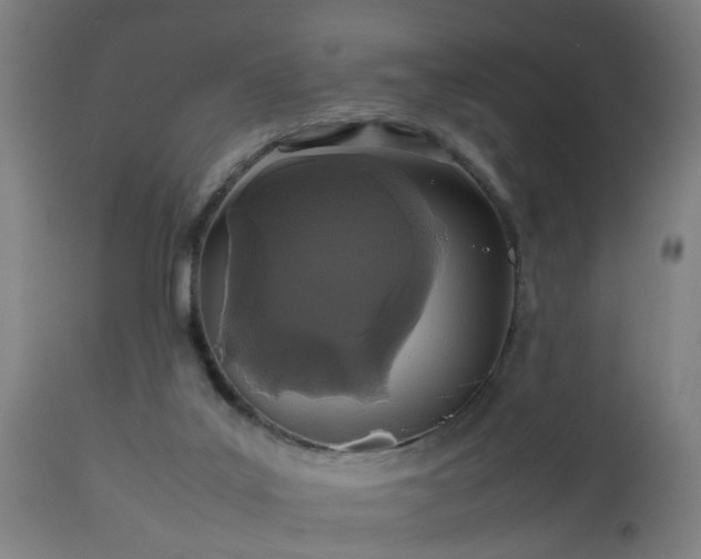 X0000112490019200908241336