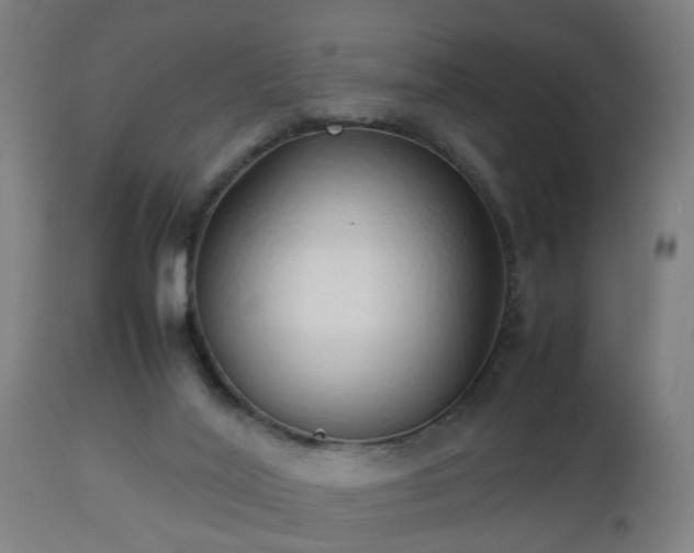 X0000112490020200908241336