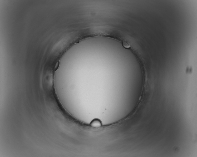 X0000112490021200908241336