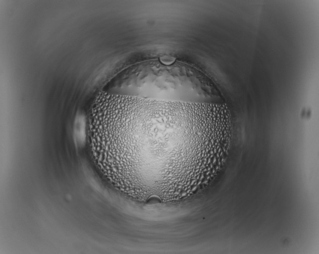 X0000112490022200908241336