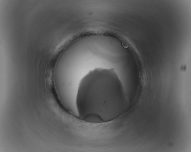 X0000112490023200908241336