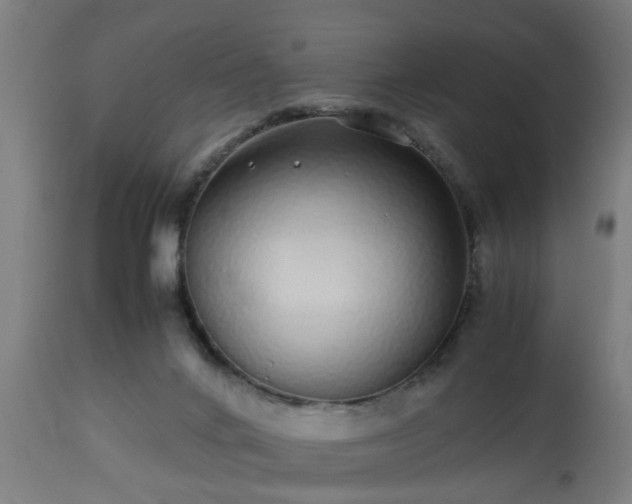 X0000112490024200908241336