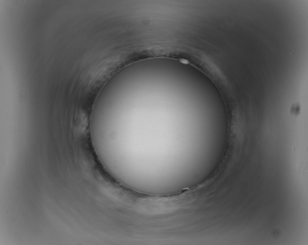 X0000112490025200908241336