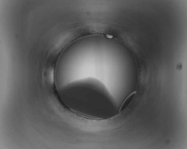 X0000112490027200908241336