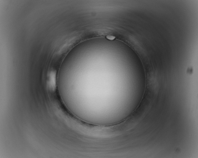 X0000112490028200908241336