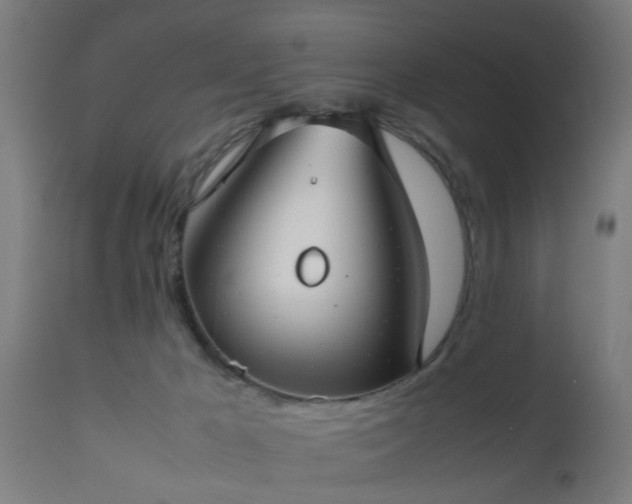 X0000112490029200908241336