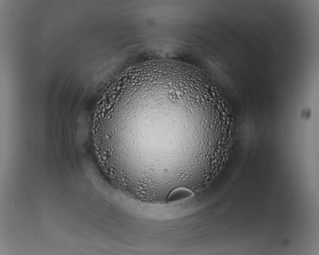 X0000112490030200908241336