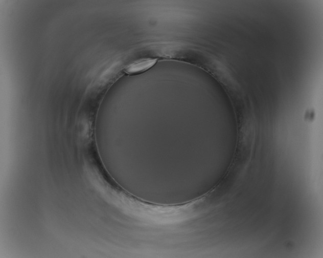 X0000112490031200908241336