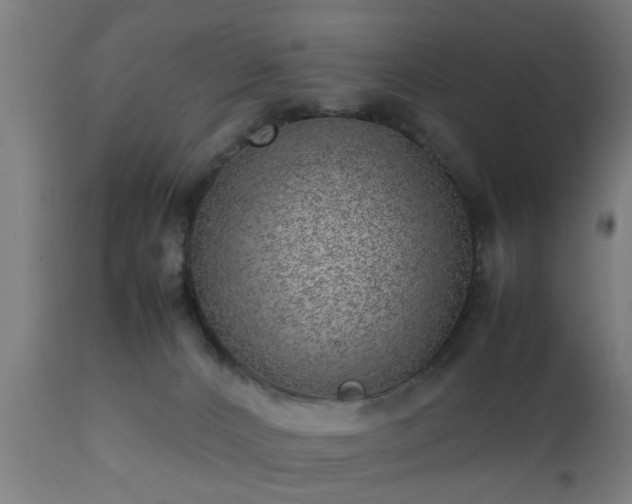 X0000112490032200908241336