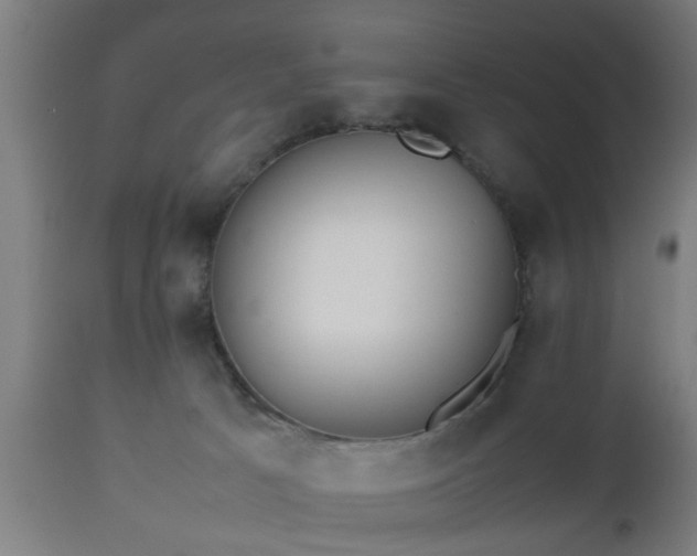 X0000112490033200908241336