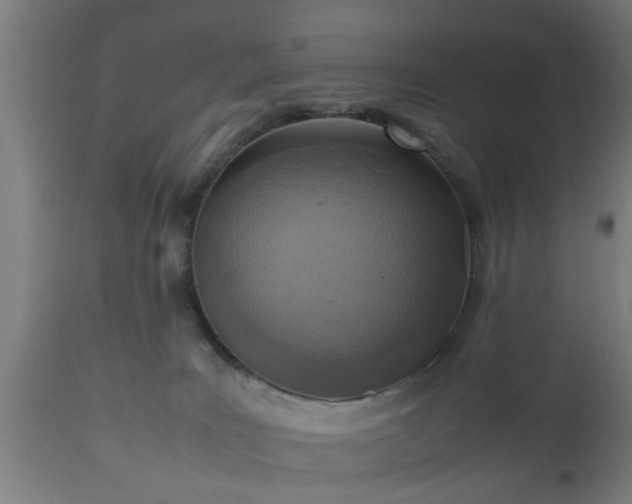 X0000112490035200908241336