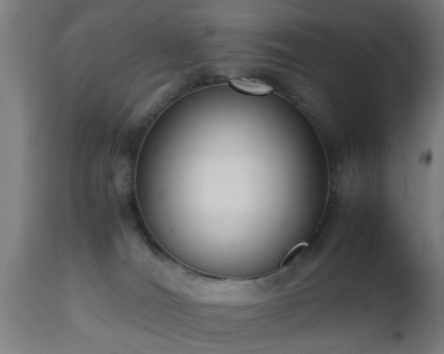 X0000112490036200908241336